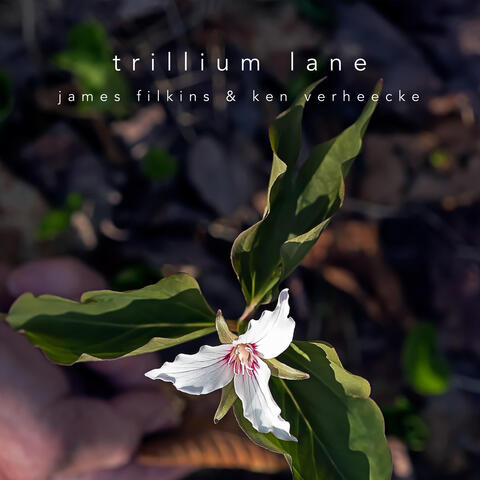 Trillium Lane