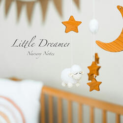 Little Dreamer