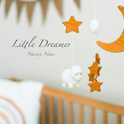 Little Dreamer