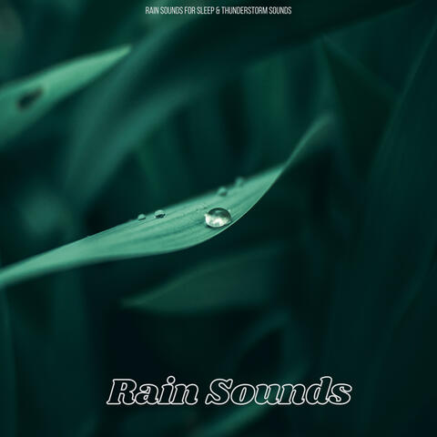 Rain Sounds