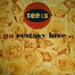 No Ecstasy Love