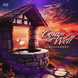 Coin in the Well