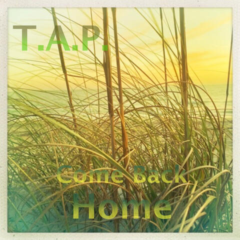 Come Back Home (Padawale)