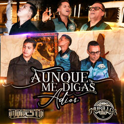 Aunque me digas adiós