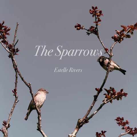 The Sparrows