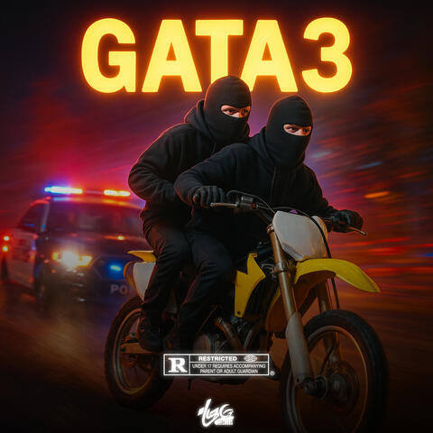 GATA3