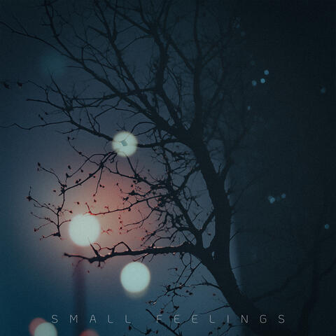 Small Feelings
