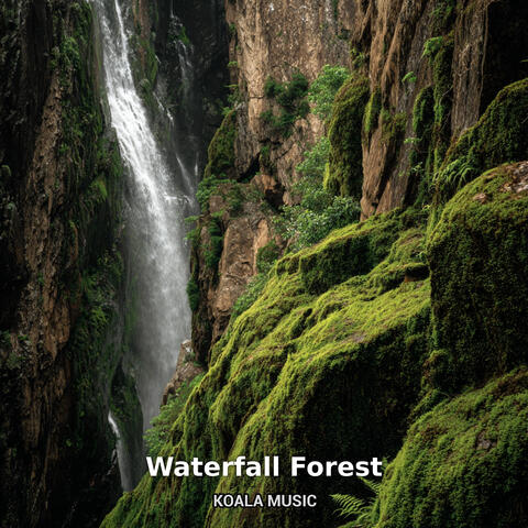 Waterfall Forest