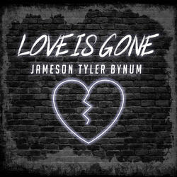 Love Is Gone