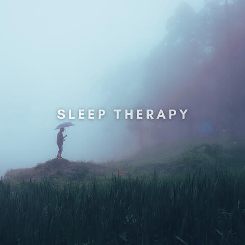Windy Rainstorm for Sleep and Relaxation