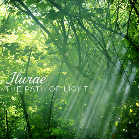 The Path of Light