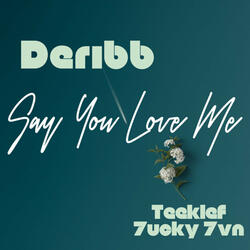 Say You Love Me