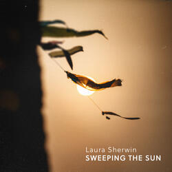 Sweeping the Sun