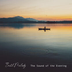 Evening Insect Symphony