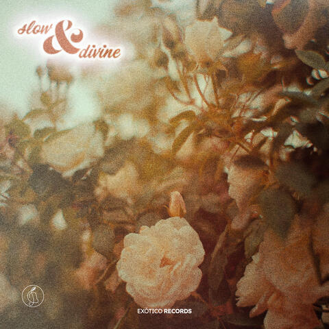 Slow.&.Divine