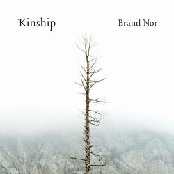 Kinship