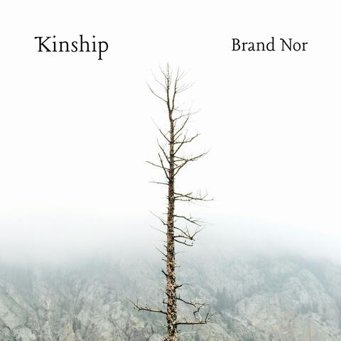 Kinship