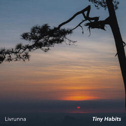 Tiny Habits