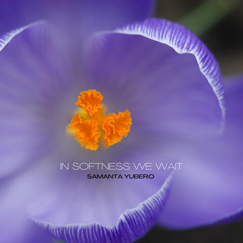 In Softness We Wait