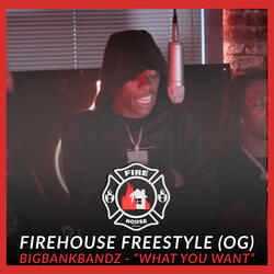 What You Want (FireHouse Freestyle)
