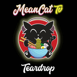 Teardrop (Acoustic Version)