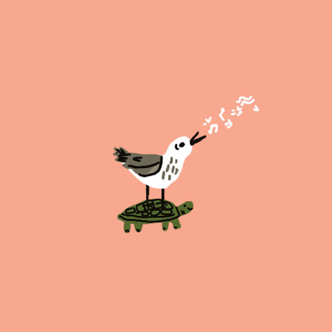 Nature's Music