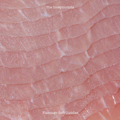 Flamingo Soft Cuddles