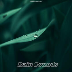 Meditation Rain