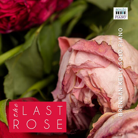 The Last Rose