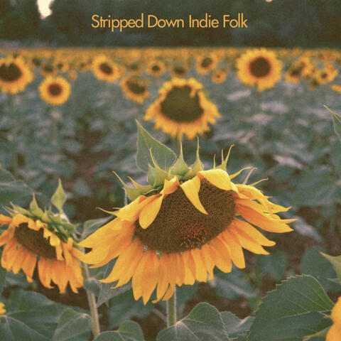 Acoustic Indie Folk