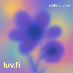 static bloom