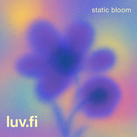 static bloom