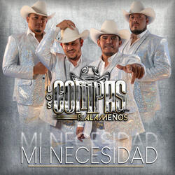 Mi Necesidad