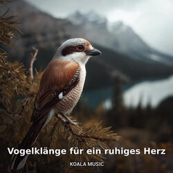 Herz & Seele beruhigt mit Vogelmelodie, Pt.14