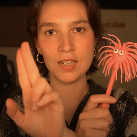 ASMR Do The Opposite Of My Instructions