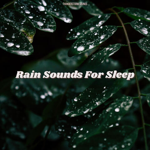 Rain Sounds For Sleep