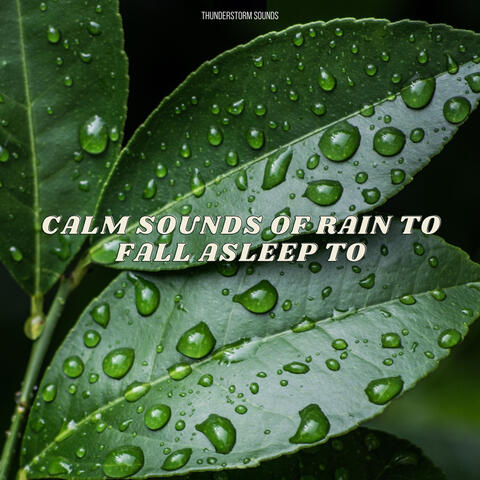 Calm Sounds Of Rain To Fall Asleep To