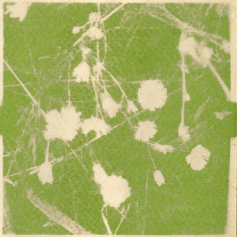 figure.in.your.frame