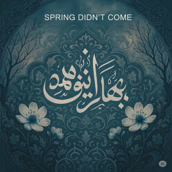 Spring Didn't Come