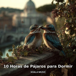 Sonidos Constantes de Pájaros para Relajación Nocturna, Pt.8