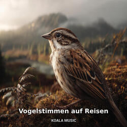 Vogelrufe und Naturgeräusche unterwegs, Pt.15