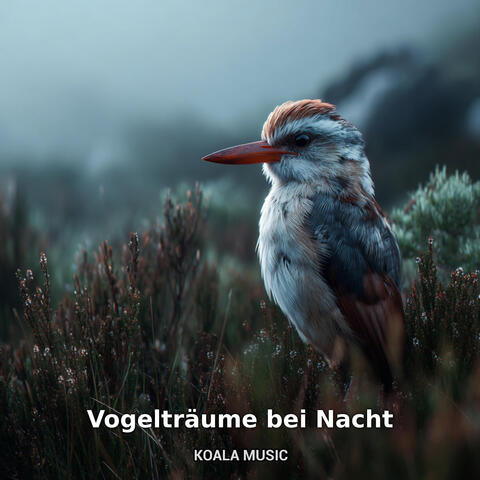 Vogelträume bei Nacht