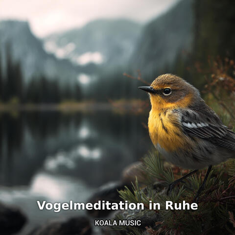 Vogelmeditation in Ruhe