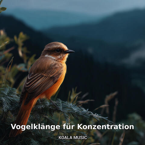 Vogelklänge für Konzentration