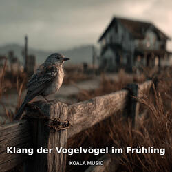 Singvögel im Morgenglanz, Pt.18