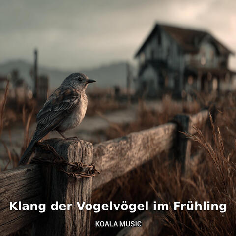 Klang der Vogelvögel im Frühling