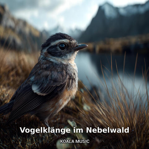 Vogelklänge im Nebelwald