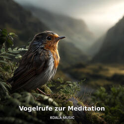 beruhigende Vogelrufe für Meditation, Pt.4
