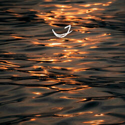 Glimmer