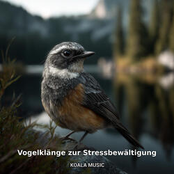 Anti-Stress Vogelklänge aus der Natur, Pt.25